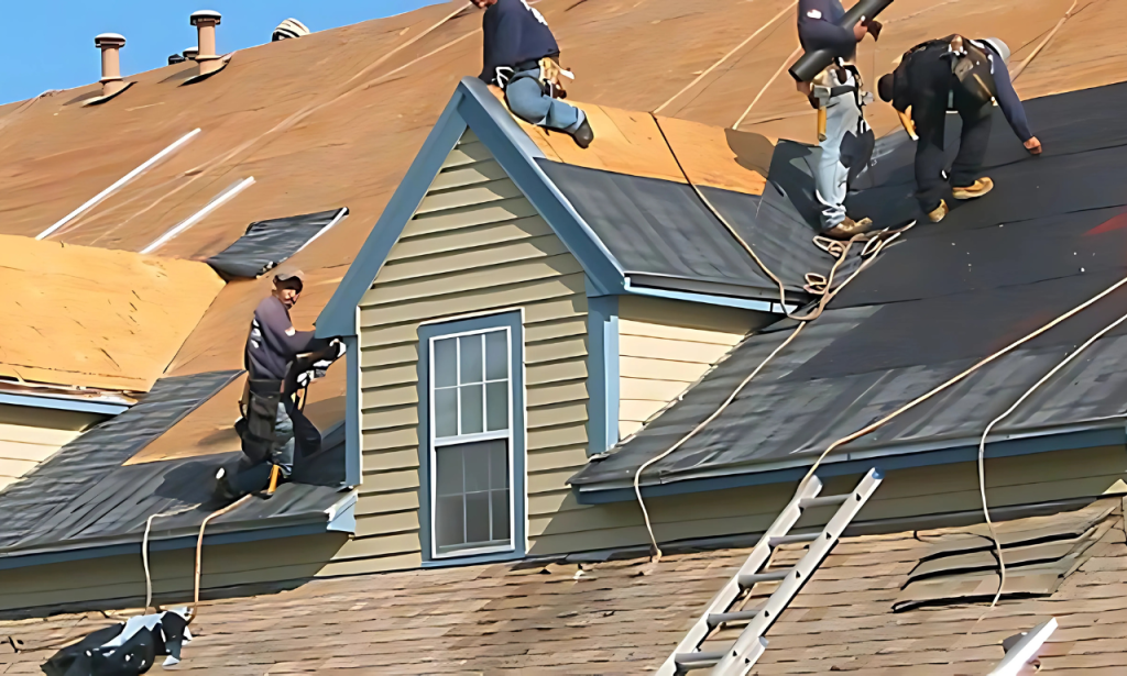 roof (3)