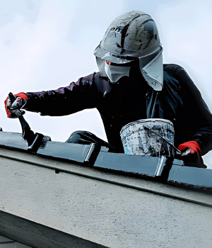 roof painting