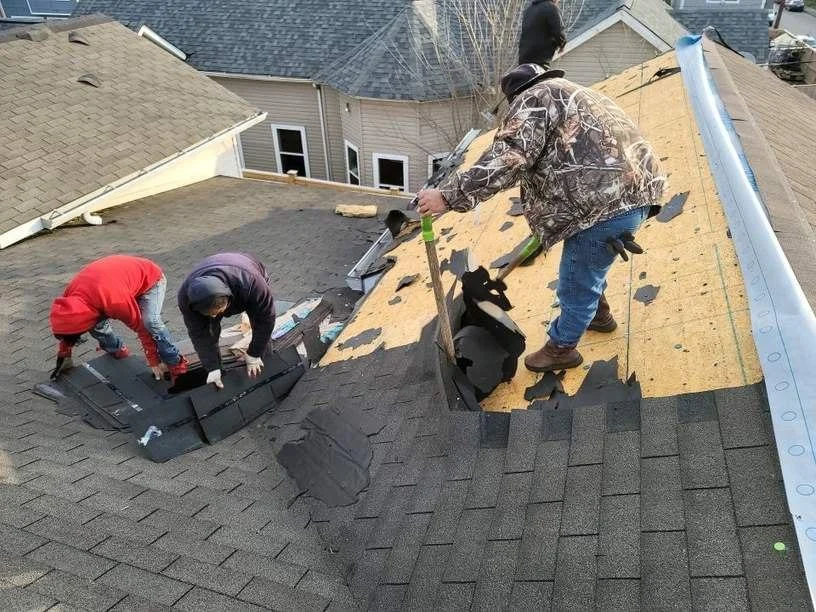 rooftearoffandintall